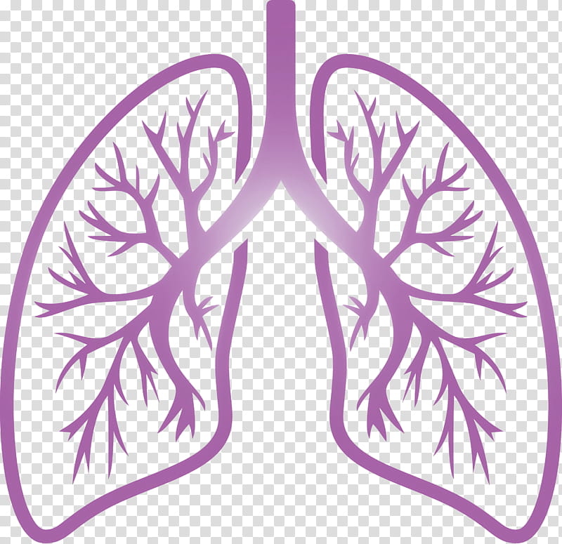lungs COVID Corona Virus Disease, Leaf, Purple, Violet, Pink, Tree, Plant, Ornament transparent background PNG clipart