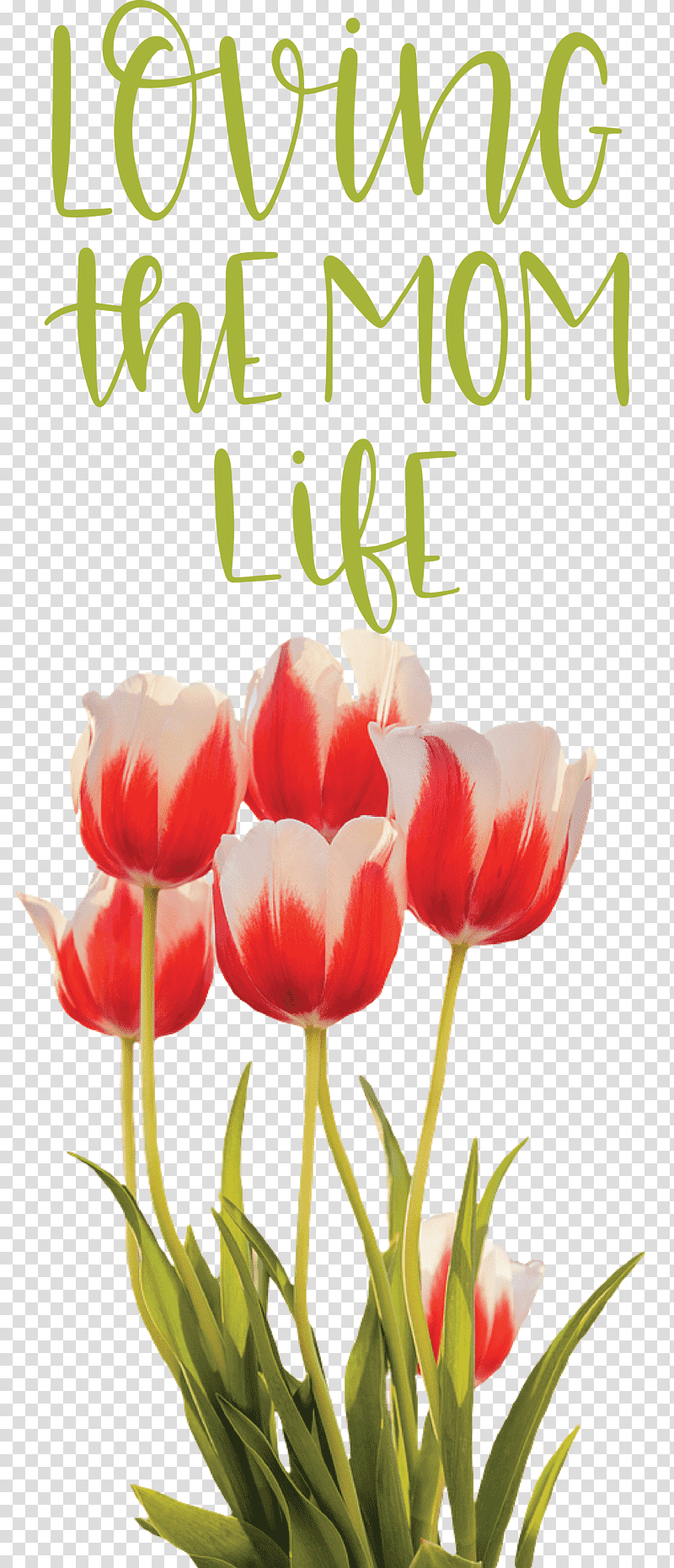 Mothers Day Mothers Day Quote Loving The Mom Life, Tulip, Flower, Flower Garden, Rose, Floral Design, Spring transparent background PNG clipart