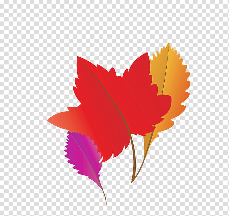 Maple leaf, Autumn Leaf, Fall Leaf, Cartoon Leaf, Plant Stem, Tree, Branch, Red Maple transparent background PNG clipart