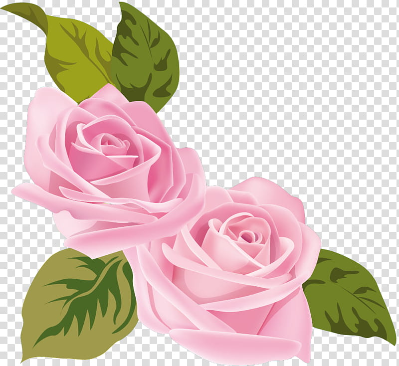 two flowers two roses valentines day, Pink, Garden Roses, Rose Family, Petal, Plant, Cut Flowers, Leaf transparent background PNG clipart