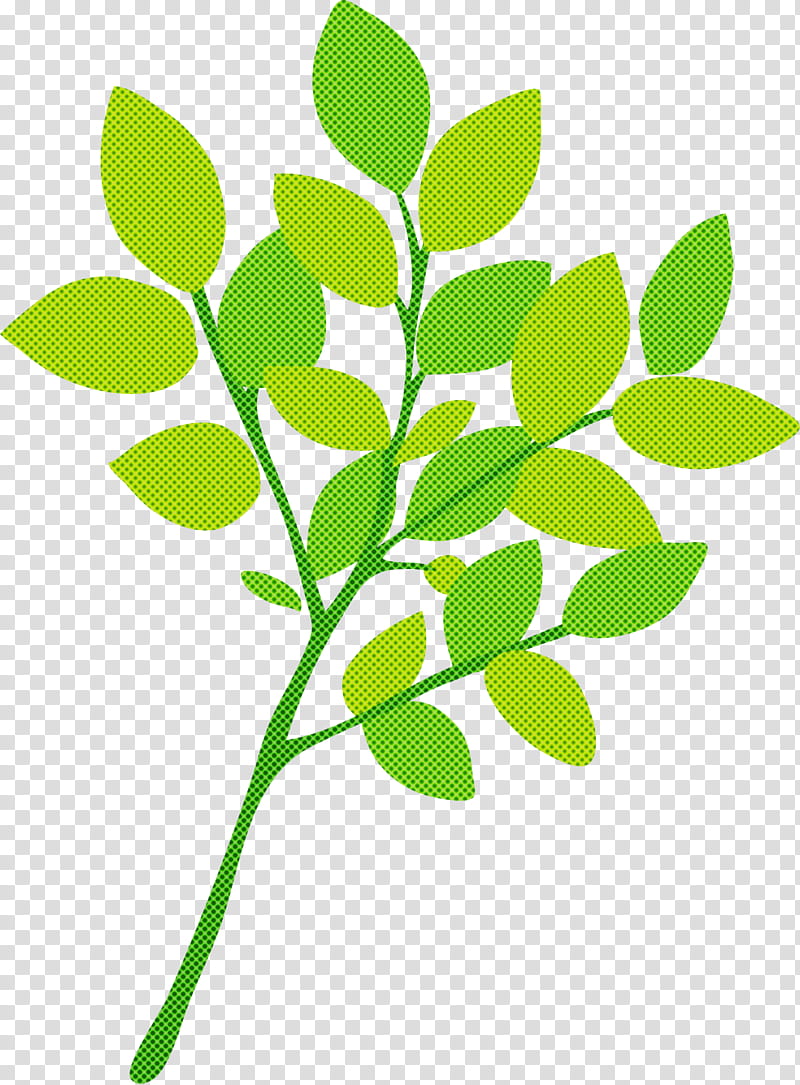 branch leaf plant stem twig oak, Tree, Patriarchi Verdi, Logo, Silhouette, Plants transparent background PNG clipart