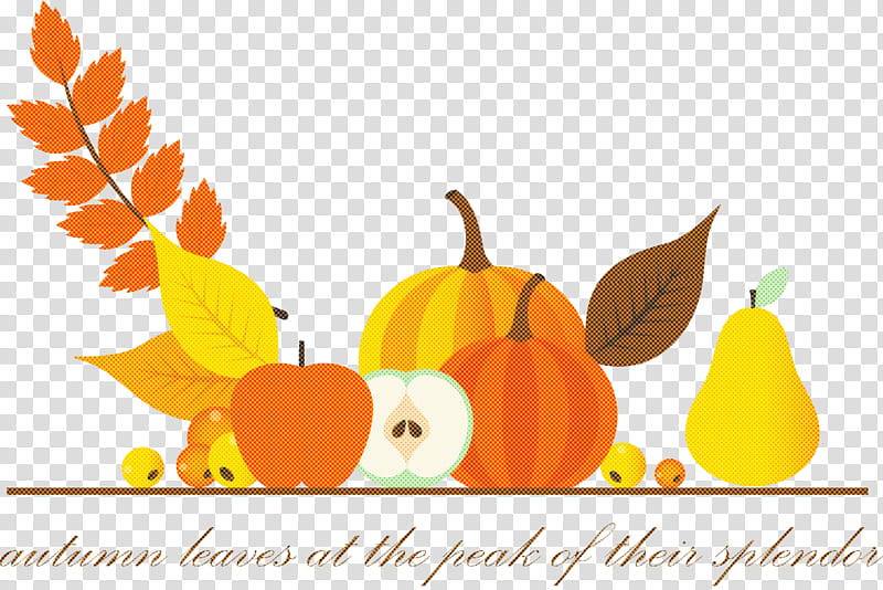 Happy Thanksgiving Happy Thanksgiving, Happy Thanksgiving , Happy Thanksgiving Background, Pumpkin, Thanksgiving Dinner, Holiday, National Day Of Mourning, Turkey Meat transparent background PNG clipart
