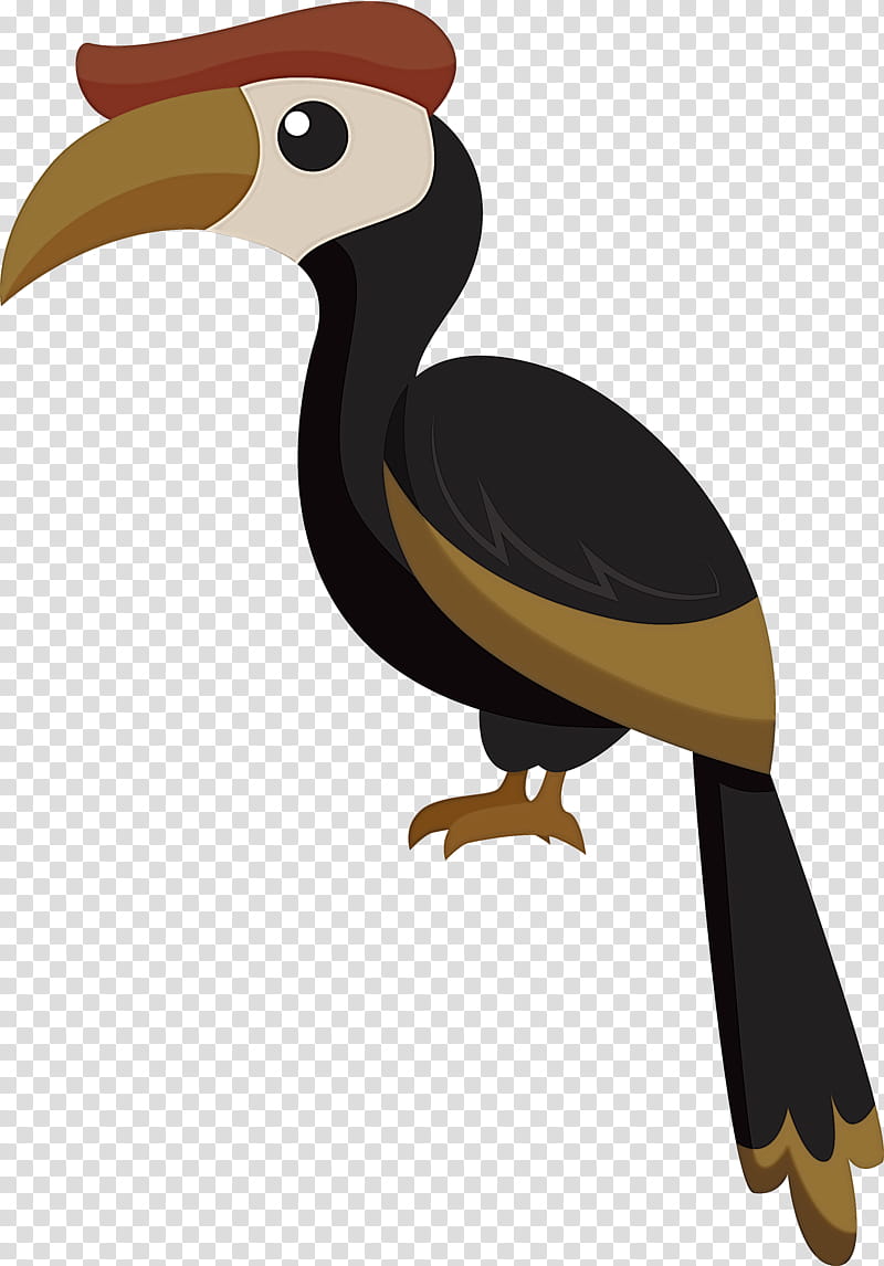 hornbill toucans birds house sparrow piciformes, Cute Bird, Cartoon Bird, Beak, Duck, Owls, Bird Of Prey, Swans transparent background PNG clipart
