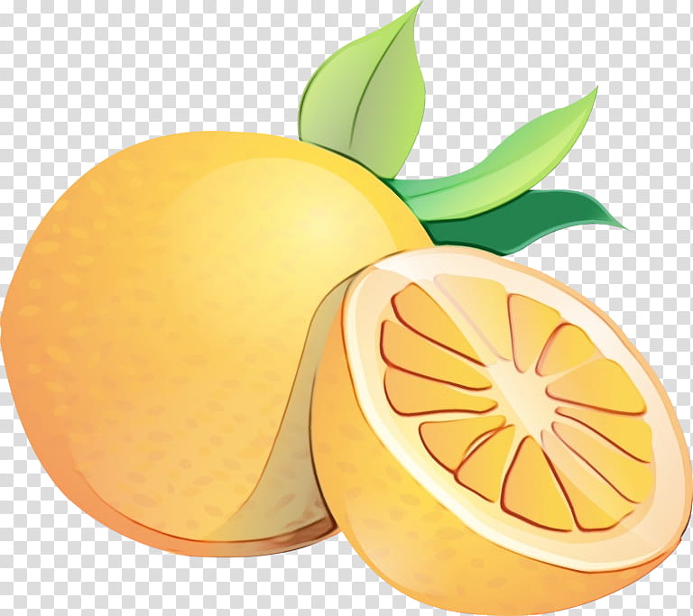 Orange, Watercolor, Paint, Wet Ink, Grapefruit, Lemon, Vegetarian Cuisine, Valencia Orange transparent background PNG clipart