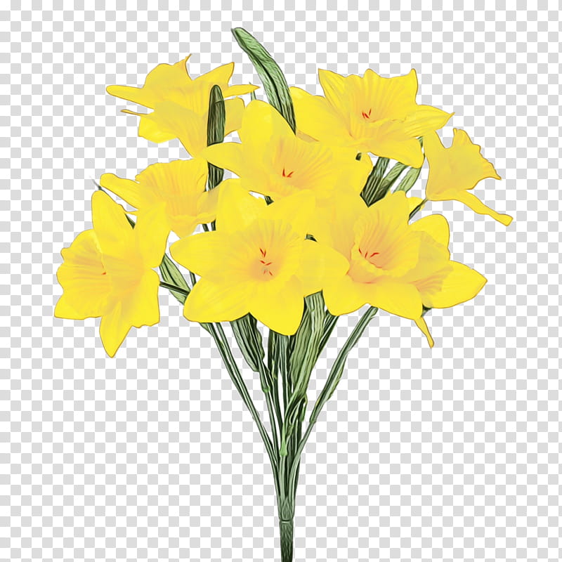 flower plant yellow cut flowers narcissus, Watercolor, Paint, Wet Ink, Petal, Lily, Amaryllis Family, Pedicel transparent background PNG clipart