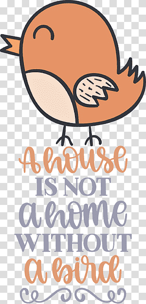 Bird Quote Bird Home, House, Meter, Line, Beak, Happiness, Behavior transparent background PNG clipart thumbnail