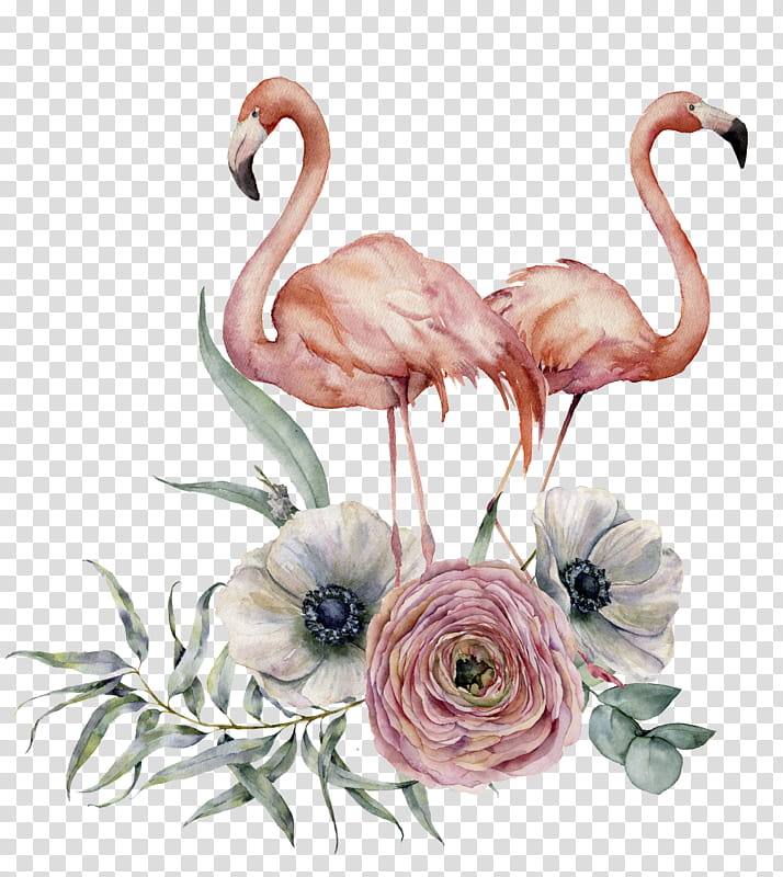 Flamingo, Greater Flamingo, Bird, Water Bird, Pink, Plant, Flower transparent background PNG clipart