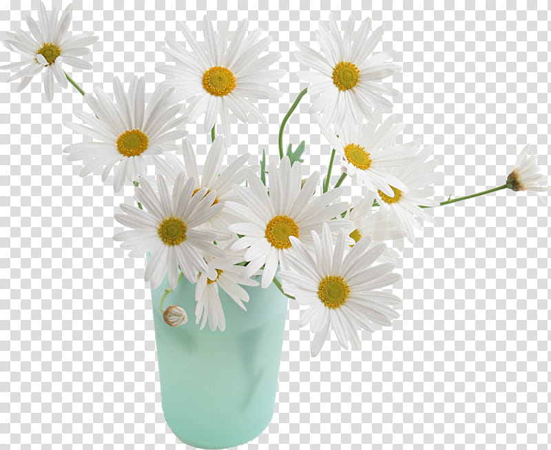 Flower bouquet, Common Daisy, Shopee, Goods, Deodorant, Comparison Shopping Website, Cut Flowers, Used Good transparent background PNG clipart