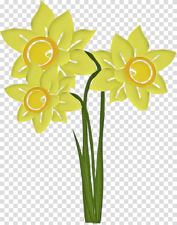 flower yellow narcissus plant cut flowers, Pedicel, Petal, Plant Stem, Amaryllis Family, Flowerpot transparent background PNG clipart