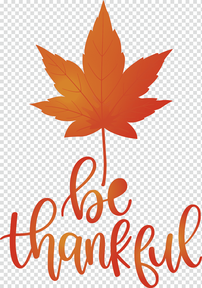 Thanksgiving Be Thankful Give Thanks, Leaf, Maple Leaf, Plant Stem, Red Maple, Sweetgum, Autumn Leaf Color transparent background PNG clipart