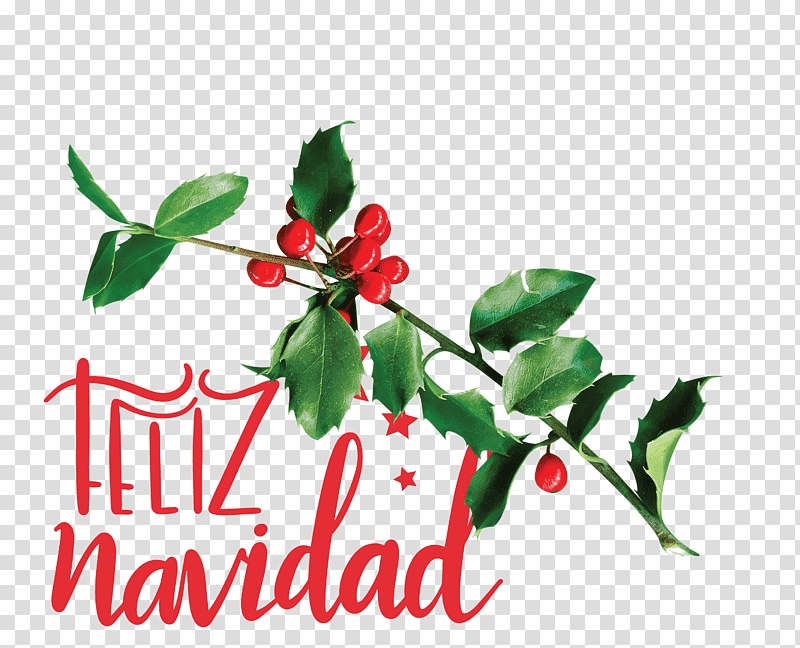 Feliz Navidad Merry Christmas, Chicken, Christmas Day, Internet Meme, Chicken Coop, Pen, Gallus Gallus Domesticus transparent background PNG clipart