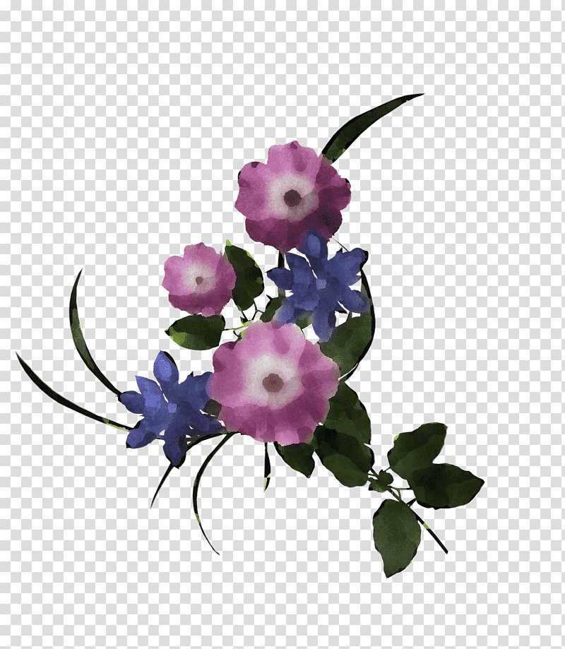 Floral design, Cut Flowers, Herbaceous Plant, Anemone, Violaceae, Plants, Biology transparent background PNG clipart