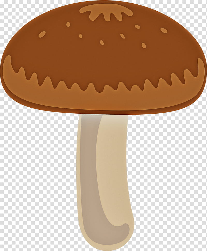 mushroom, Shiitake, Edible Mushroom, Fungus, Agaricaceae, Agaricus, Champignon Mushroom, Agaricomycetes transparent background PNG clipart