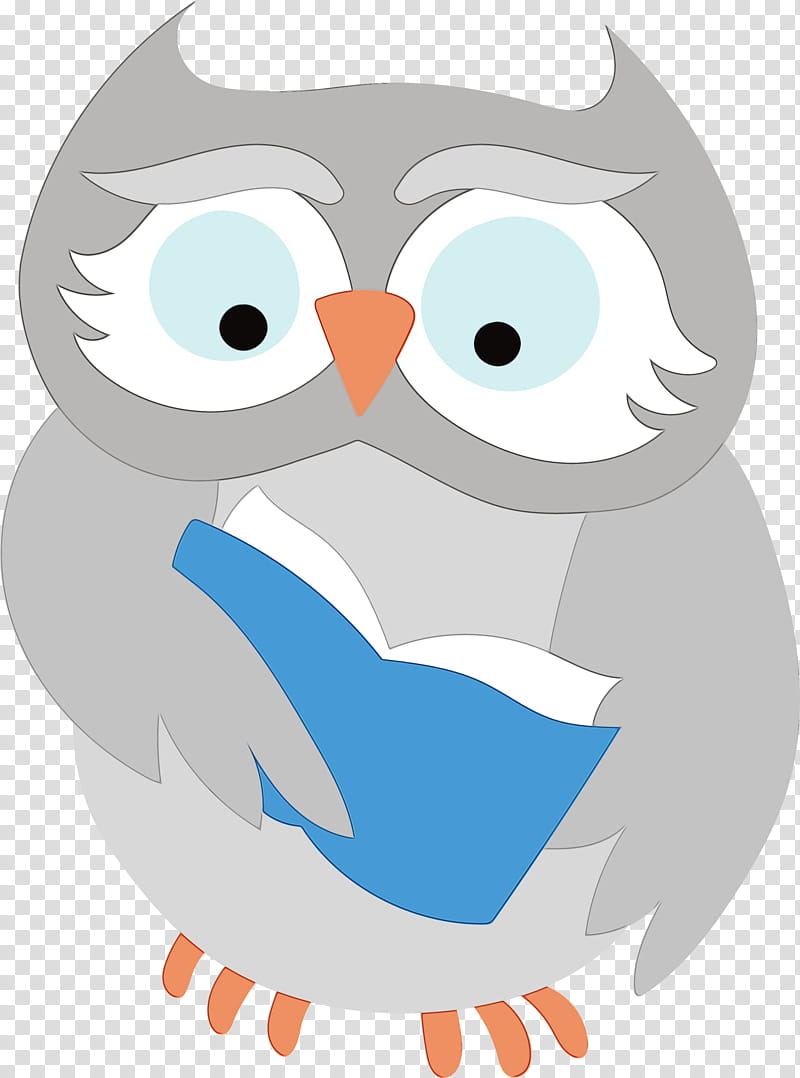 birds cartoon beak owl m bird of prey, Cartoon Owl, Cute Owl, Owl , Watercolor, Paint, Wet Ink, Character transparent background PNG clipart