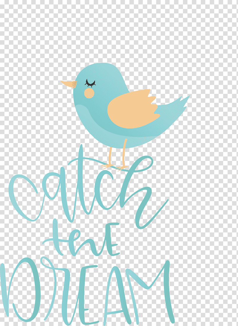 Catch The Dream Dream, Birds, Ducks, Water Bird, Beak, Logo, Travel transparent background PNG clipart