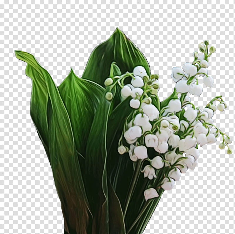 Floral design, Watercolor, Paint, Wet Ink, Lily Of The Valley, Cut Flowers, Flower Bouquet, 2016 Bmw 7 Series transparent background PNG clipart