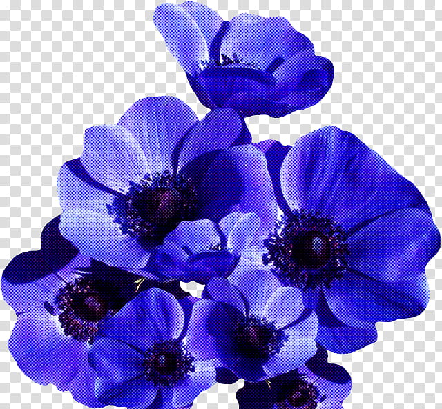 flower blue purple petal violet, Plant, Cobalt Blue, Anemone, Delphinium, Violet Family, VIOLA, Cut Flowers transparent background PNG clipart
