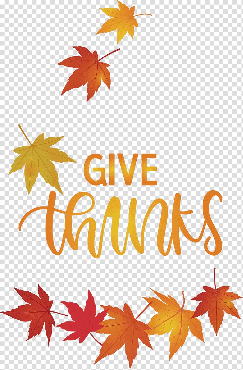 Thanksgiving Be Thankful Give Thanks, Leaf, Flower, Maple Leaf, Petal, Tree, Meter transparent background PNG clipart