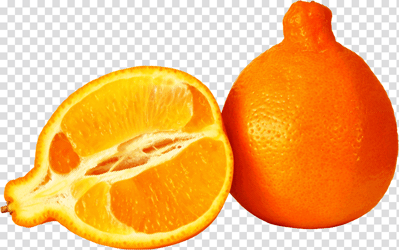 tangelo clementine tangerine fruit tangerine, Rangpur, Grapefruit, Bitter Orange, Blood Orange, Peel, Rutaceae transparent background PNG clipart