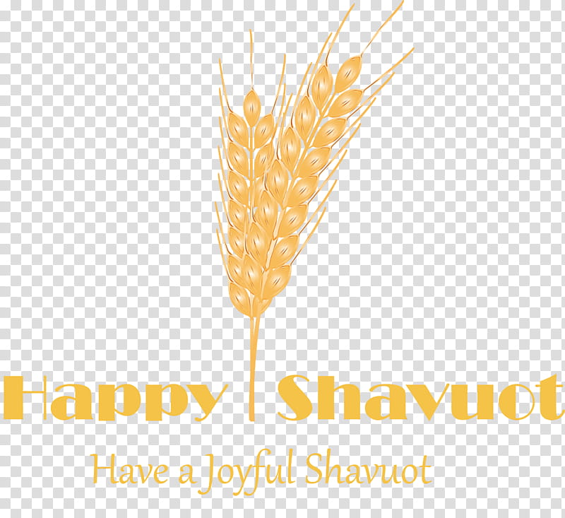 Wheat, Happy Shavuot, Shovuos, Watercolor, Paint, Wet Ink, Yellow, Grass Family transparent background PNG clipart