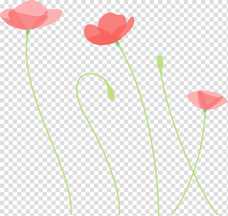 poppy flower, Plant Stem, Pedicel, Tulip, Coquelicot, Petal, Corn Poppy, Poppy Family transparent background PNG clipart