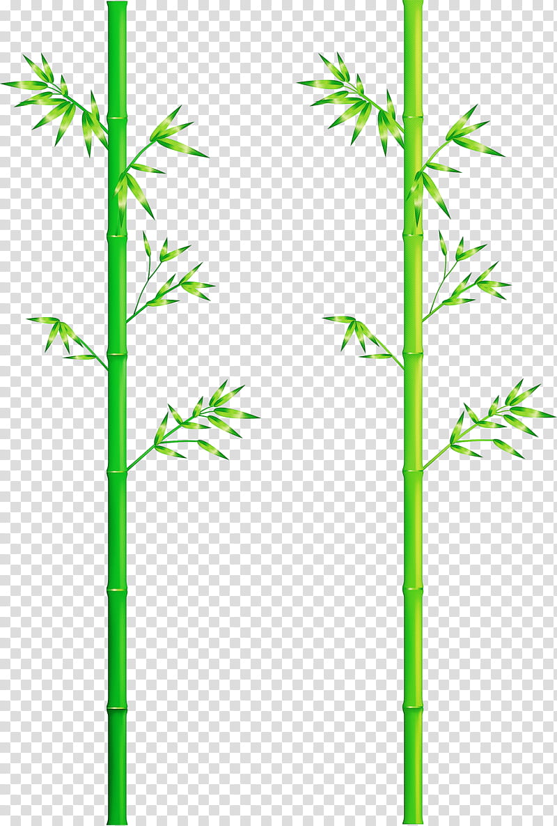 bamboo leaf, Plant Stem, Grass Family, American Larch, Flower, Pedicel, Elymus Repens transparent background PNG clipart