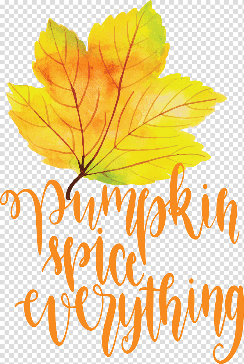 Pumpkin spice everything Pumpkin Thanksgiving, Autumn, Silhouette, Watercolor Painting, Black, Black Screen Of Death transparent background PNG clipart