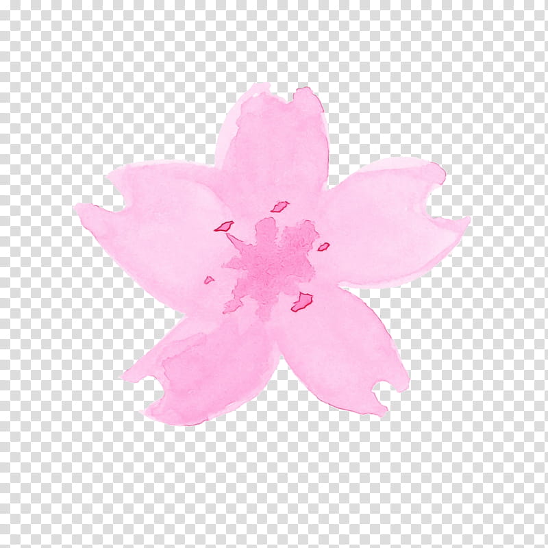 Cherry blossom, Watercolor Flower, Paint, Wet Ink, Pink, Petal, Plant, Magenta transparent background PNG clipart