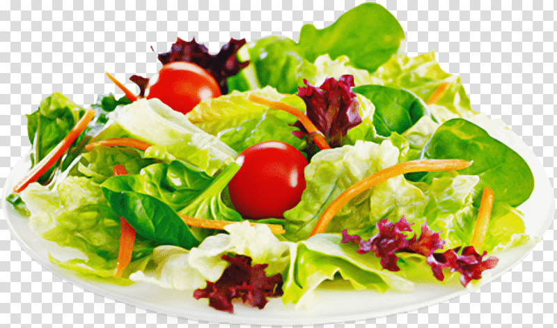 Salad, Greek Salad, Pasta Salad, Salad Bar, Vegetable, Garden Salad, Lettuce transparent background PNG clipart