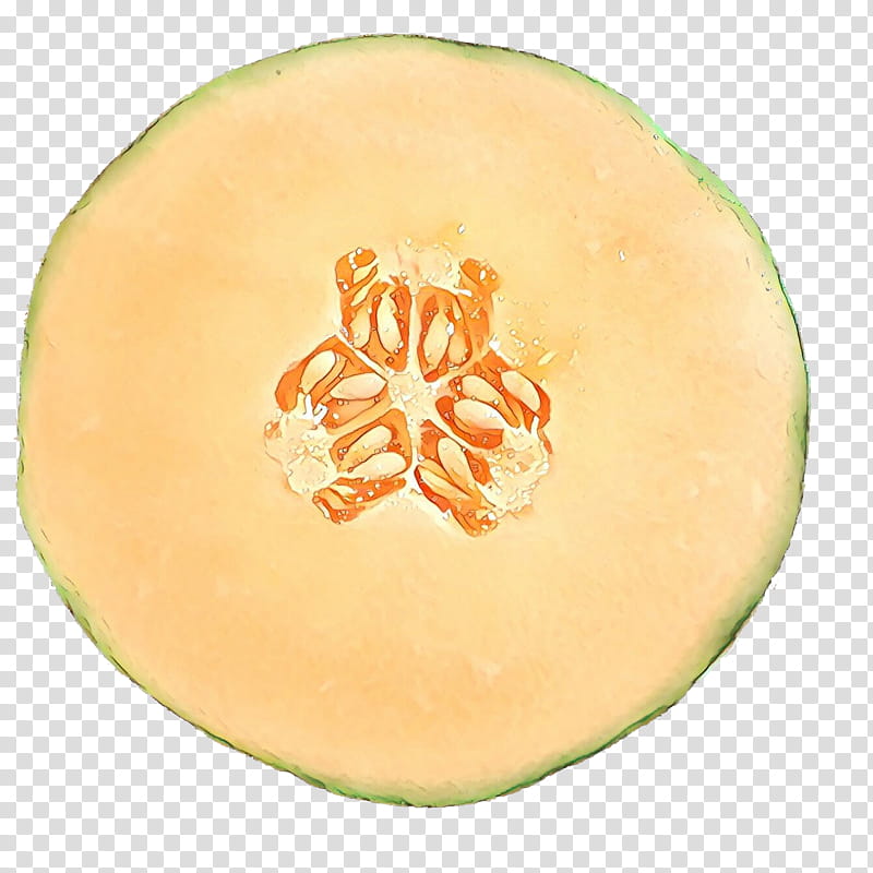 Winter, Winter Squash, Carving, Melon, Commodity, Fruit, Muskmelon, Cantaloupe transparent background PNG clipart