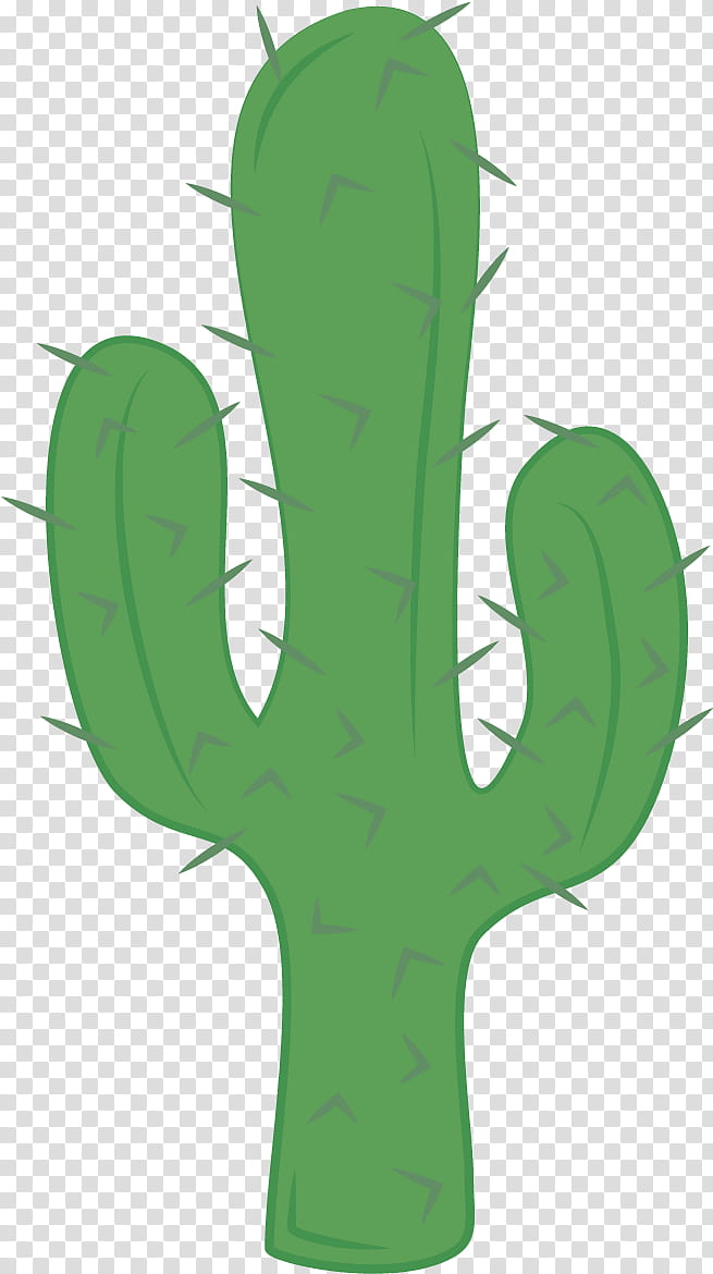 Cactus, Green, Leaf, Plant, Saguaro, Flower, Thorns Spines And Prickles, Terrestrial Plant transparent background PNG clipart