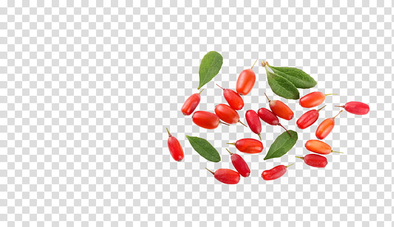 tabasco pepper red plant superfruit food, Flower, Leaf, Goji, Malagueta Pepper, Berry, Vegetable, Chili Pepper transparent background PNG clipart