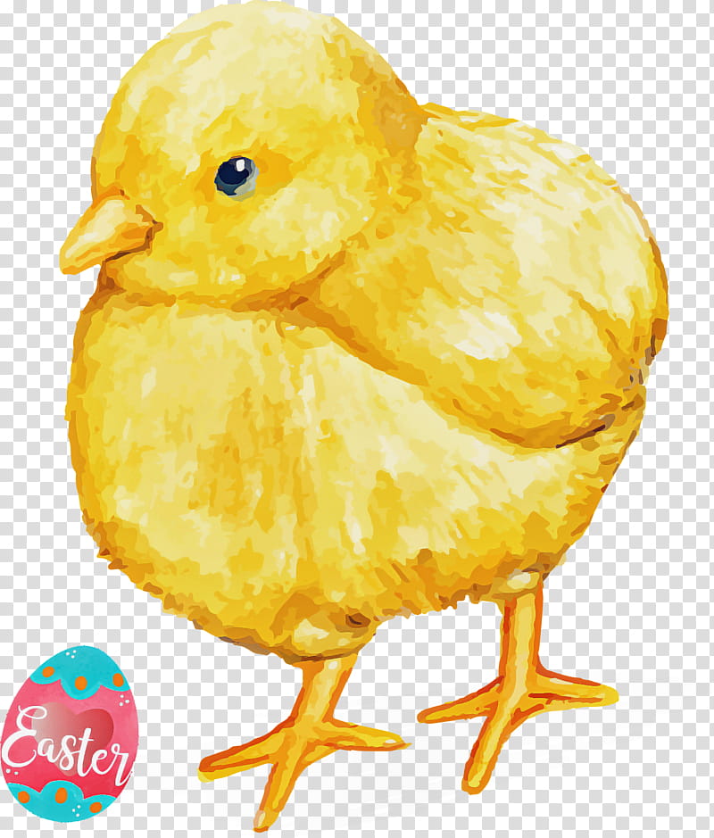 Easter Day Easter Sunday Happy Easter, Chicken, Bird, Yellow, Beak, Poultry, Live, Atlantic Canary transparent background PNG clipart