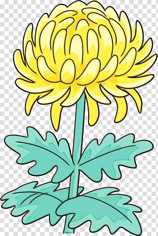 Floral design, Chrysanthemum, Chrysanths, Watercolor, Paint, Wet Ink, Cut Flowers, Plant Stem transparent background PNG clipart