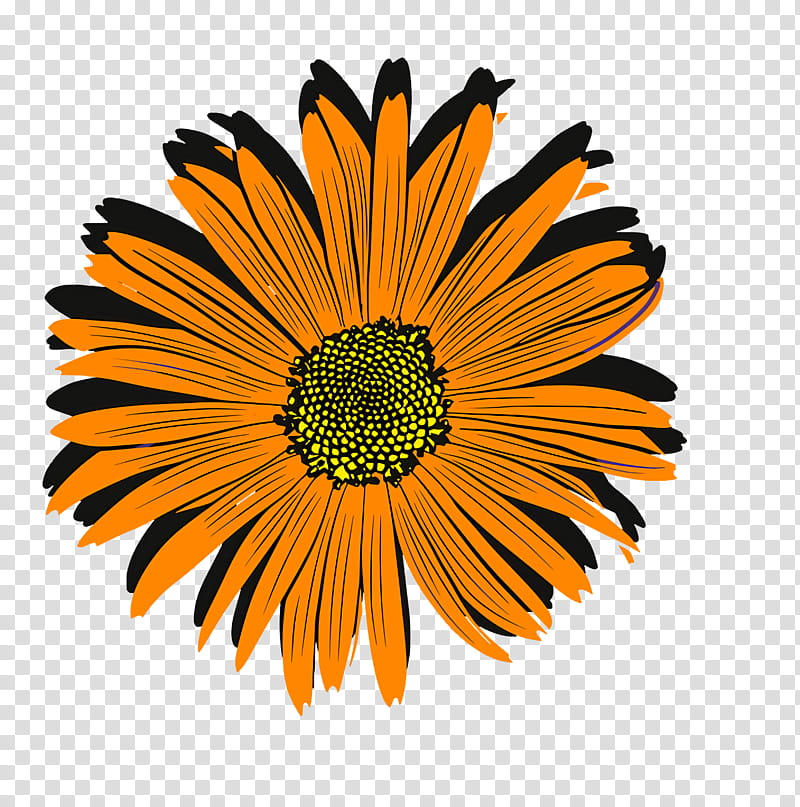 chrysanthemum transvaal daisy coneflower cut flowers pot marigold, Yellow, Marigolds transparent background PNG clipart