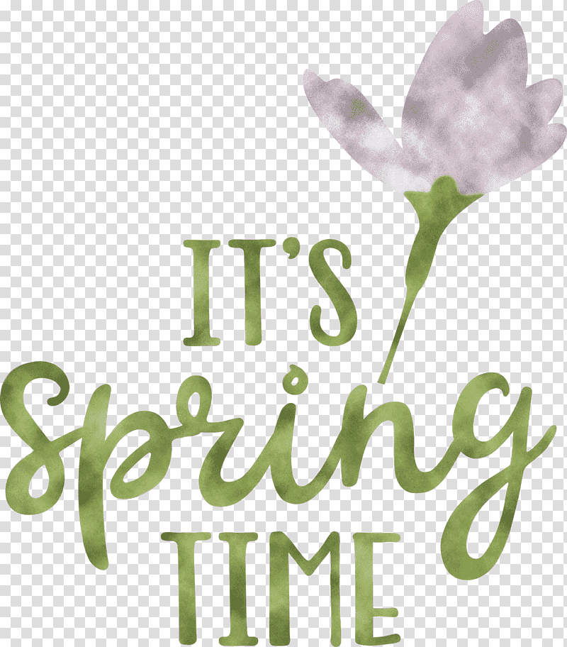 Spring Time Spring, Spring
, Flower, Petal, Logo, Lavender, Lilac M transparent background PNG clipart