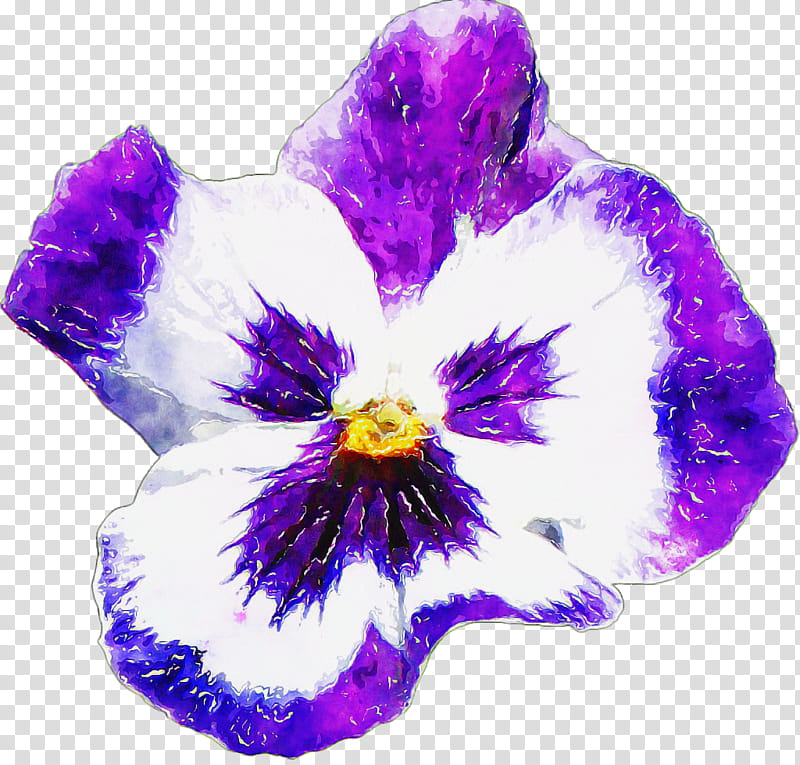pansy flower lilac ornamental plant orchids, Violet, Cartoon, Plants, Wild Pansy transparent background PNG clipart