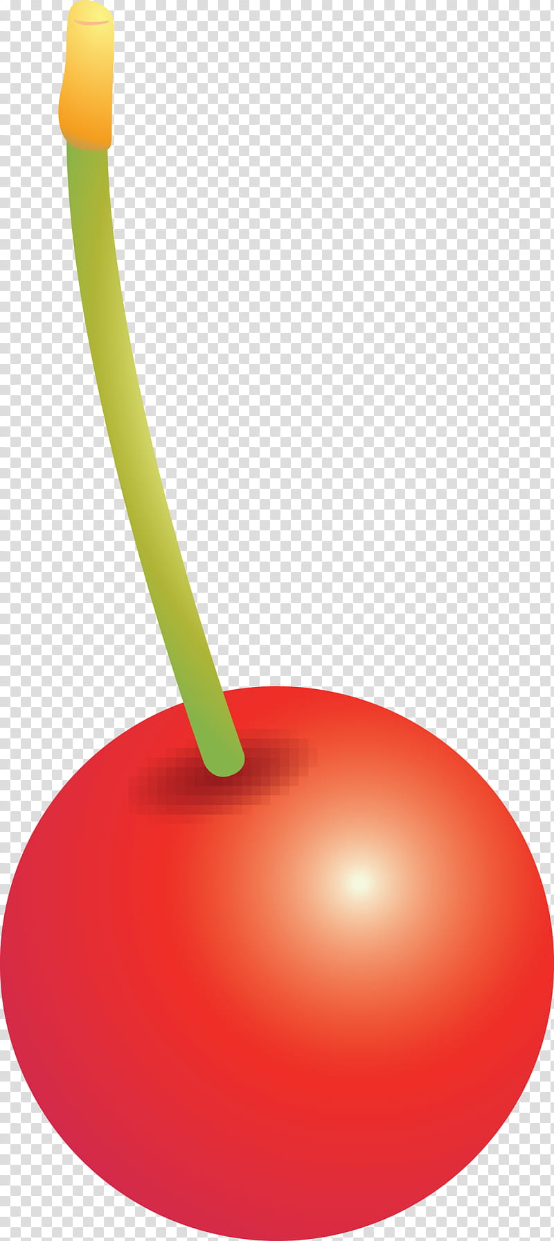 cherry, Plant, Drupe transparent background PNG clipart