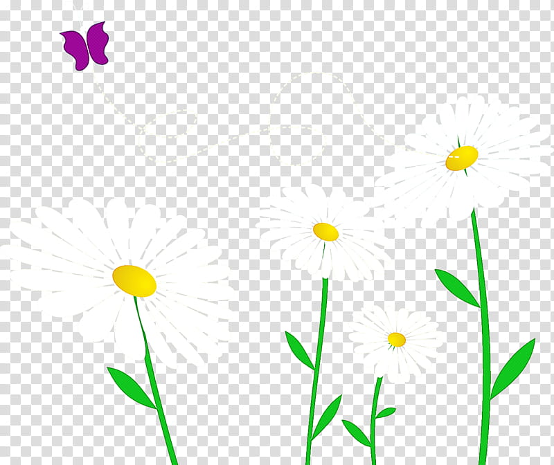 Gerbera daisy marguerite, Flower, Petal, Chrysanthemum, Floral Design, Oxeye Daisy, Transvaal Daisy, Common Daisy transparent background PNG clipart