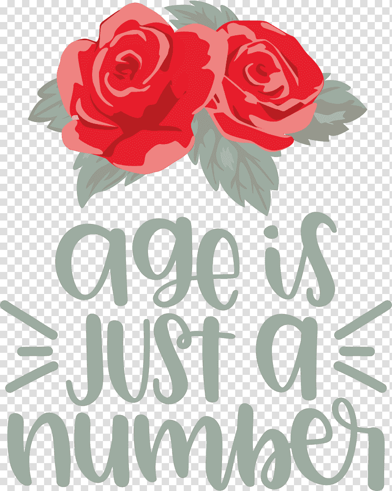 Birthday Age Is Just A Number, Birthday
, Floral Design, Garden Roses, Cut Flowers, Petal, Rose Family transparent background PNG clipart