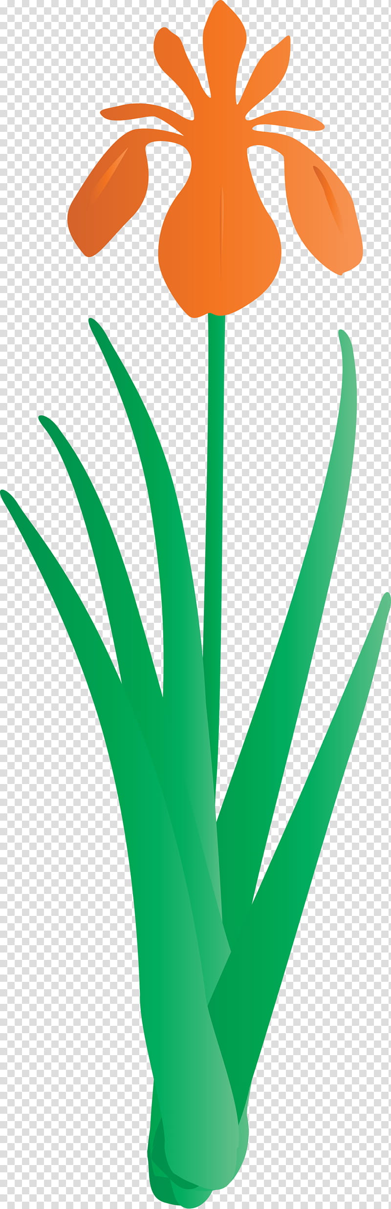 iris flower spring flower, Iris Flower, Green, Leaf, Plant, Grass, Logo transparent background PNG clipart