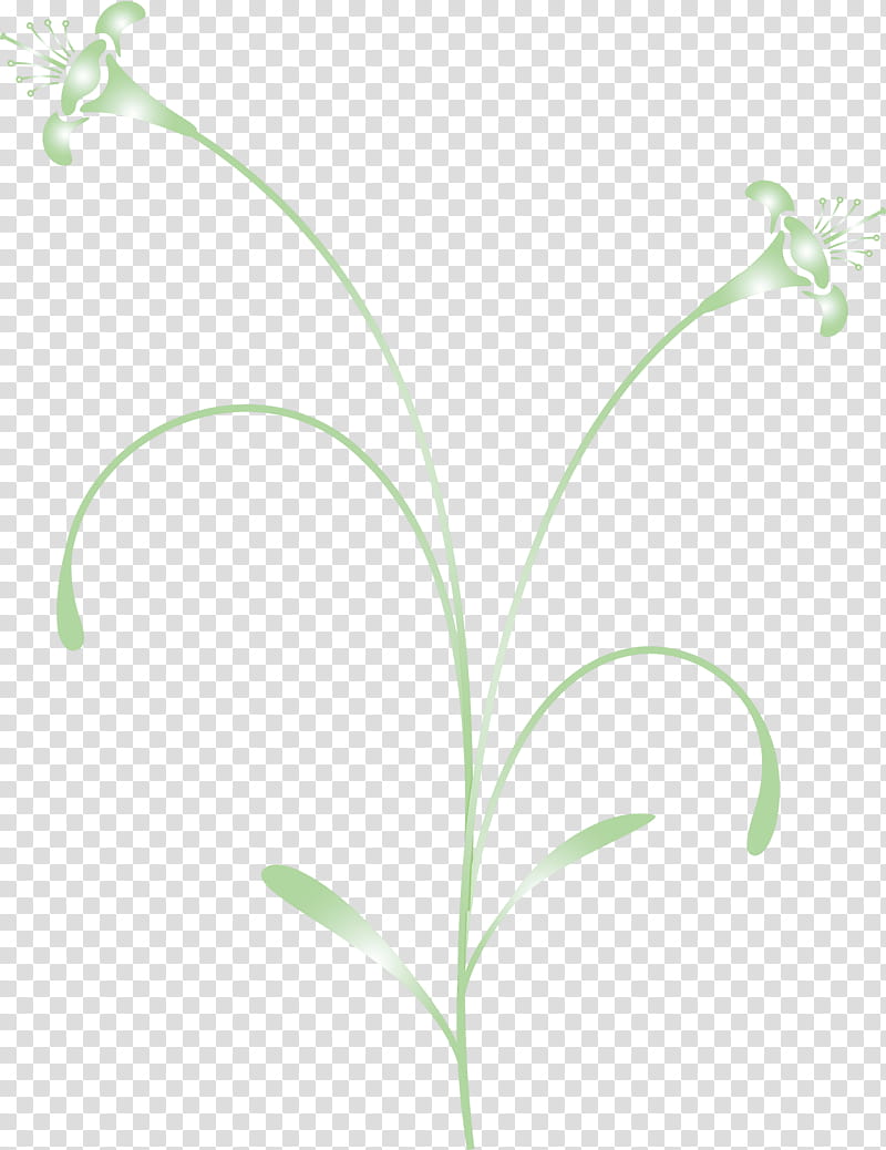 easter flower spring flower, Lily Of The Valley, Leaf, Plant, Grass, Grass Family, Plant Stem, Pedicel transparent background PNG clipart