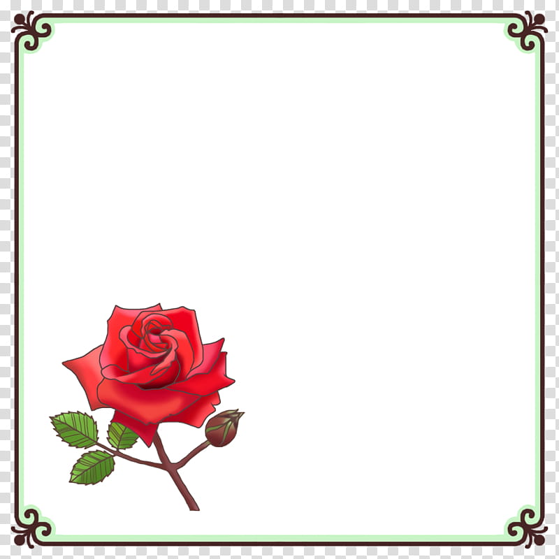 flower frame school frame Kindergarten frame, Floral Design, Flower Bouquet, Rose, Cut Flowers, Garden Roses, Pink Flowers, Petal transparent background PNG clipart