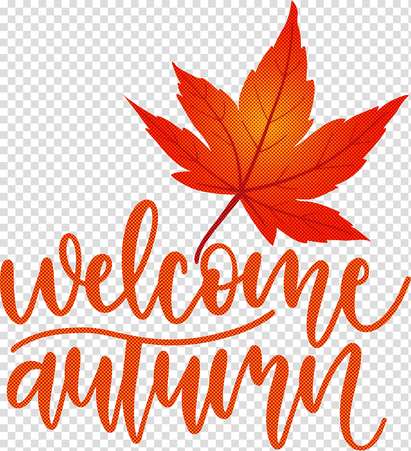 Welcome Autumn Autumn, Maple Leaf, Logo, Tree, Meter, Line, Flower transparent background PNG clipart