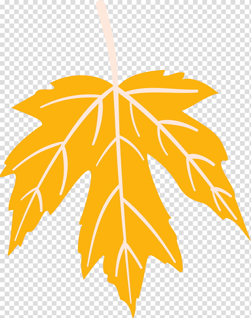 Autumn Leaf Colourful Foliage Colorful Leaves, COLORFUL LEAF, Plant Stem, Autumn Leaf Color, Tree, Red Maple, Branch, Deciduous transparent background PNG clipart