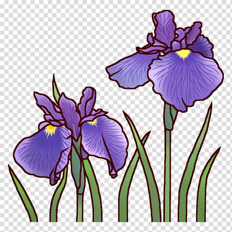 Floral design, Flower, Petal, Pansy, Plant Stem, Cut Flowers, Lily, Orris Root transparent background PNG clipart