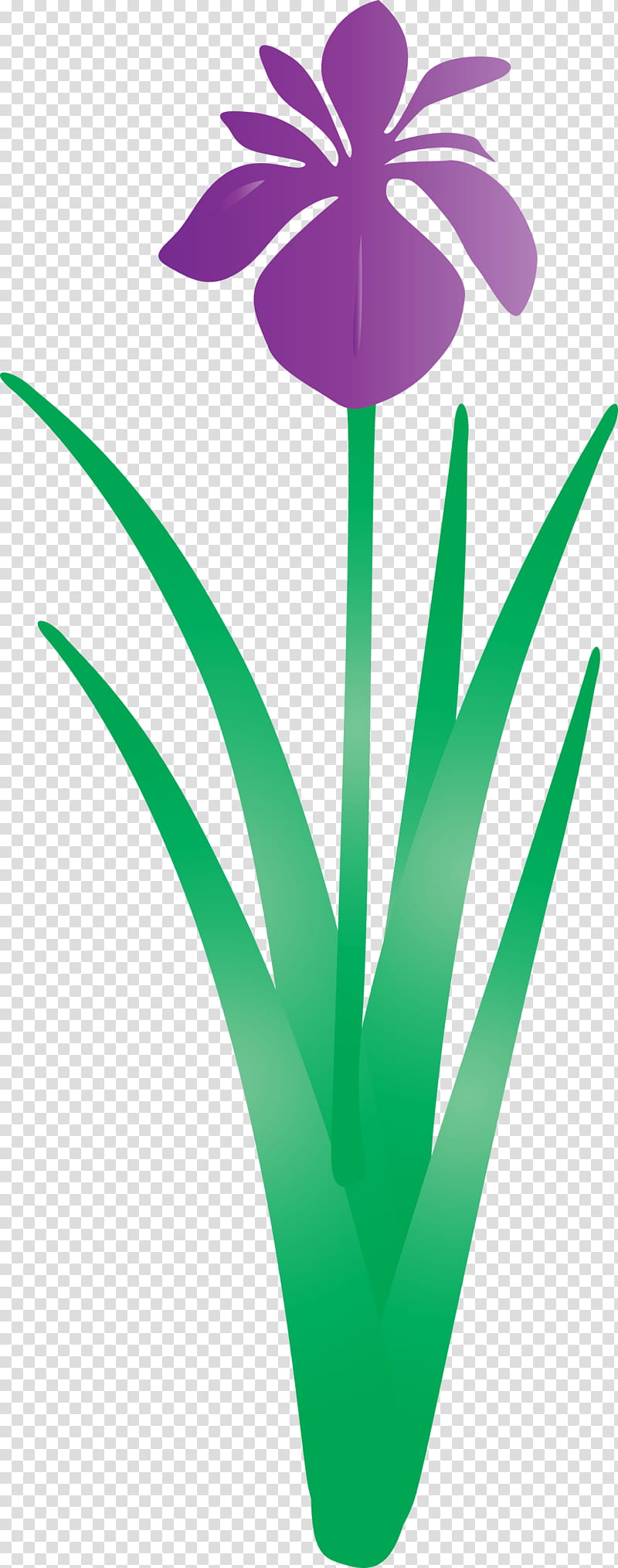 iris flower spring flower, Iris Flower, Green, Leaf, Plant, Grass, Tulip transparent background PNG clipart