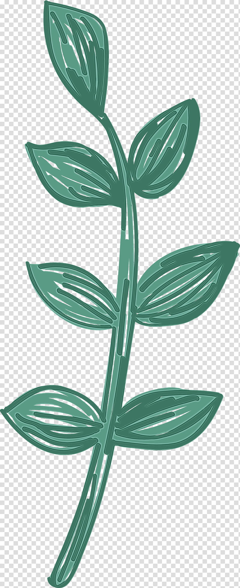 leaf plant stem flower plants plant structure, Mexico Elements, Watercolor, Paint, Wet Ink, Biology, Science transparent background PNG clipart