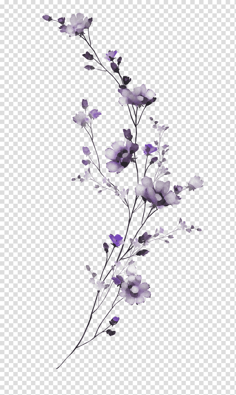 Floral design, Flower, Cut Flowers, Lavender, Plant Stem, Denim Jacket, Birth Flower transparent background PNG clipart