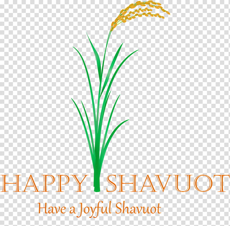 Happy Shavuot Shavuot Shovuos, Plant, Leaf, Grass, Grass Family, Flower, Logo, Plant Stem transparent background PNG clipart